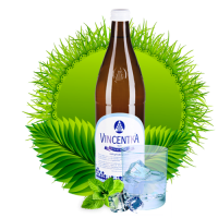 Вода Vincentka / Винцентка 0.7л газированная стекло (6шт)