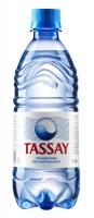 Вода Тассай (TASSAY) 0,5 л. негазированная ПЭТ (12шт)